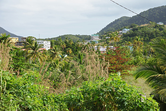 Many new residences are being built