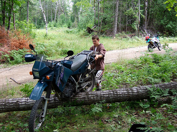 Out for a ride after the big blowdown, we had to lift the bikes over the trees.