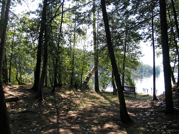 Judy's 50th birthday present was a new sauna!  This is the location we decided on.