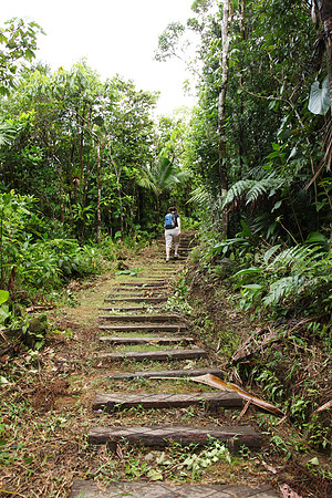 Pretty well maintained trail (the first third of it)
