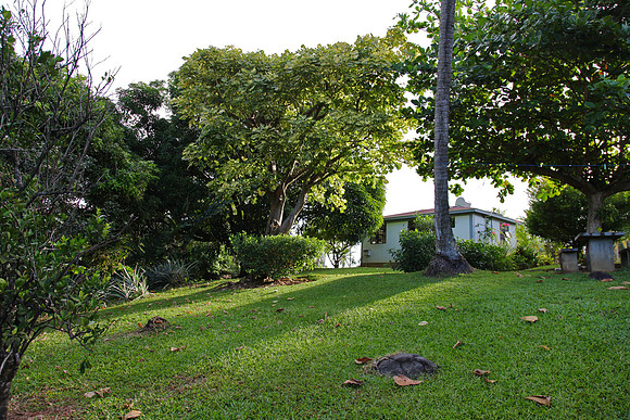 the backyard
