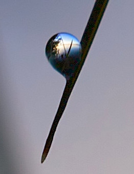 Later I realized there was a picture of the lake in the drop.