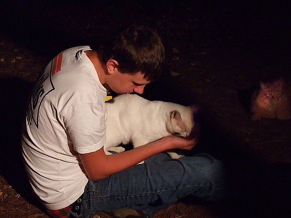 Ewan feeding stray cat as Sweeney looks on...