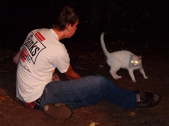 The Village of the Damned had a pet cat...