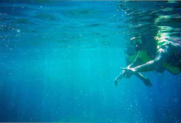 Champagne Reef