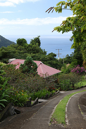 Looking west towards the ocean