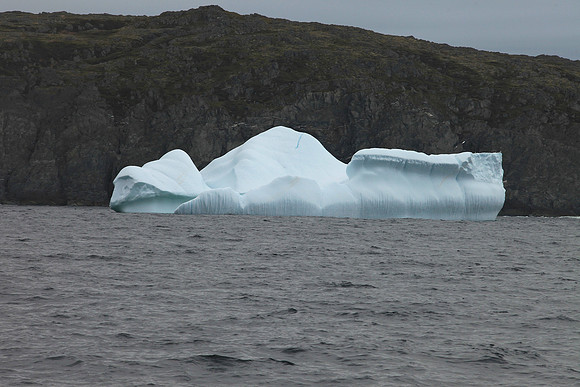 Icebergs.