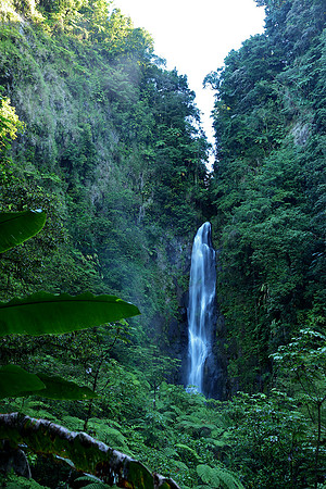 Trafalger Falls