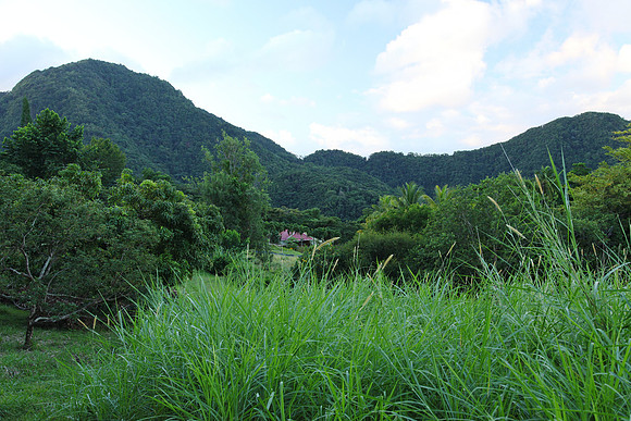 Taken from back of the property showing the surrounding mountains.